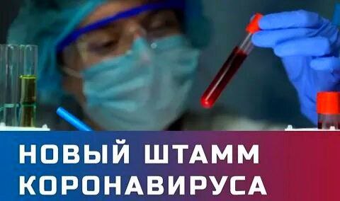 В Великобритании зафиксировано активное распространение нового штамма коронавируса под названием Stratus, сообщает The Independent со ссылкой на Агентство по безопасности здравоохранения Великобритании UKHSA Штамм представлен двумя вариантами — XFG и XFG.3, которые в настоящее время составляют около 30% случаев COVID-19 в Англии. По данным ВОЗ, на долю Stratus по состоянию на 22 июня приходилось 22,7% мировых случаев заболевания. Особенность Stratus — необычный симптом: заражённые часто жалуются на охриплость, скрипучий или хриплый голос. В остальном течение болезни, как правило, остаётся лёгким или умеренным. Несмотря на высокую заразность, по словам эпидемиолога UKHSA доктора Алекса Аллена, на данный момент нет данных, что Stratus вызывает более тяжёлое течение болезни по сравнению с предыдущими вариантами вируса. ВОЗ отнесла Stratus к числу вариантов, находящихся под наблюдением, но считает, что он представляет низкий риск для глобального общественного здоровья. Тем не менее, медики призывают соблюдать меры предосторожности, особенно в период роста заболеваемости. «Сбой в Матрице»