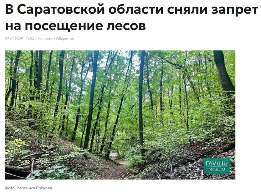 В последний раз 21 дневный запрет на посещение лесов в Саратовской области продлевали с 2 октября до 22 октября До этого подобные меры вводились в мае июле и сентябре для борьбы с лесными пожарами Заходите на наш сайт это очень помогает редакции glush media news view id 5240