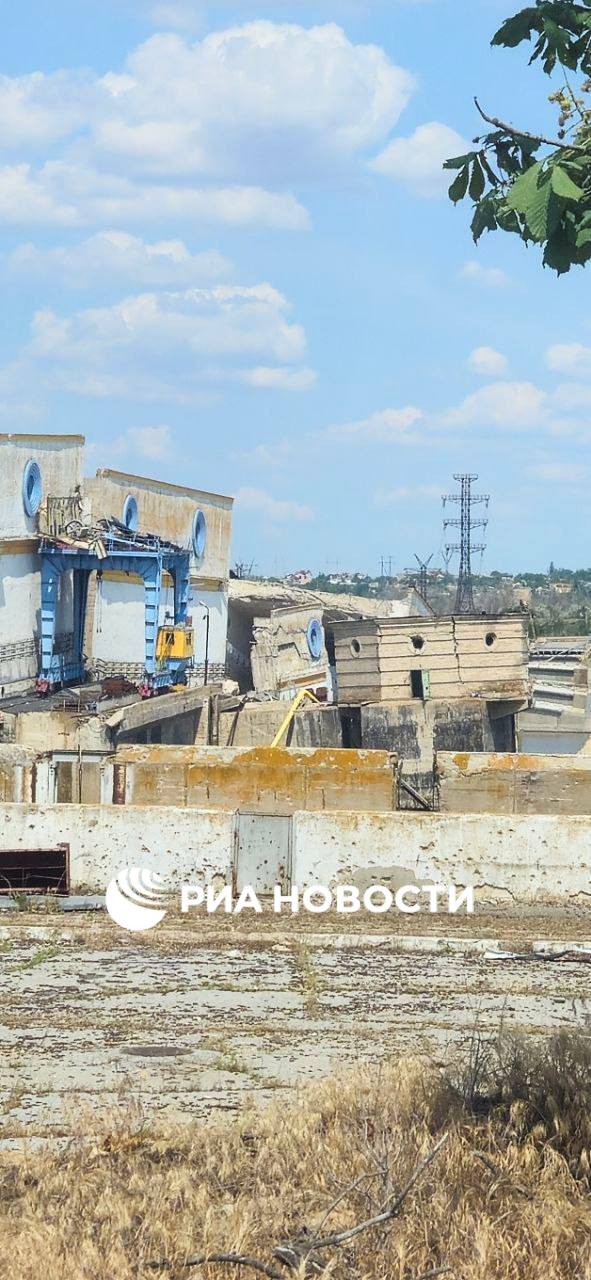 Министр природных ресурсов Херсонской области Николай Быстрянцев вспомнил чернобыльскую трагедию в годовщину подрыва Каховской ГЭС, о масштабах катастрофы он рассказал в разговоре с РИА Новости. Катастрофа привела к массовой гибели животных. Наиболее пострадали виды, неспособные быстро покинуть зону затопления: мелкие млекопитающие, грызуны, земноводные, водно-болотные млекопитающие, такие как еноты, бобры, ондатры, а также птенцы птиц. Значительно сократились популяции оленей, косуль, кабанов. Кроме того, среди последствий министр назвал загрязнение, кризис сельского хозяйства и кратно возросший риск пылевых бурь.