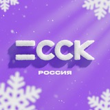 Строительная компания ССК