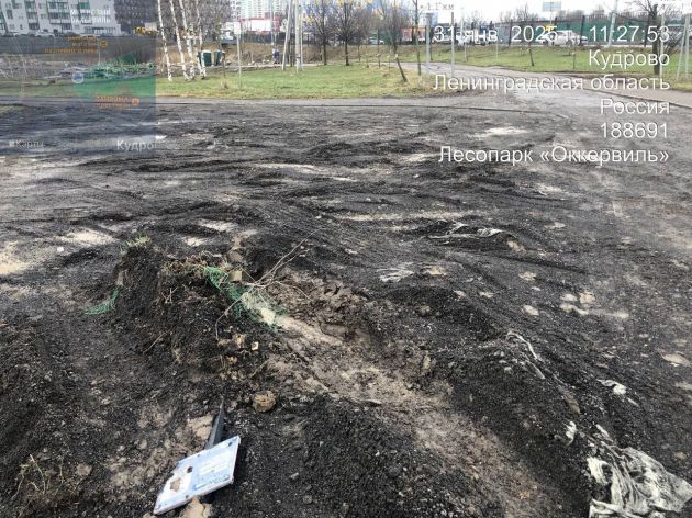 Втоптали память в грязь: жители Кудрово обнаружили, что Аллея Славы в парке Оккервиль, посвященная героям ВОВ, повреждена. Несколько табличек с именами оказались сбитыми и валялись на земле, а территория вокруг была изрыта техникой. Пострадали саженцы, которые люди высаживали вместе.  Памятные таблички просто лежат в куче грязи. Видимо, кто-то не счел нужным учитывать, что это для людей память,  — говорит местная жительница Екатерина.  Аллею Славы создали еще в 2020 году. Тогда высадили 75 кленов в честь 75-летия Победы. Однако территория этого парка все еще на балансе у подрядчика ООО «Гросс», сказали 47 news в администрации Заневского поселения. Там пообещали ханяться восстановлением саженцев и табличек после того, как будет подписан передаточный акт.    47 news    читатели 47news, Администрация Заневского поселения