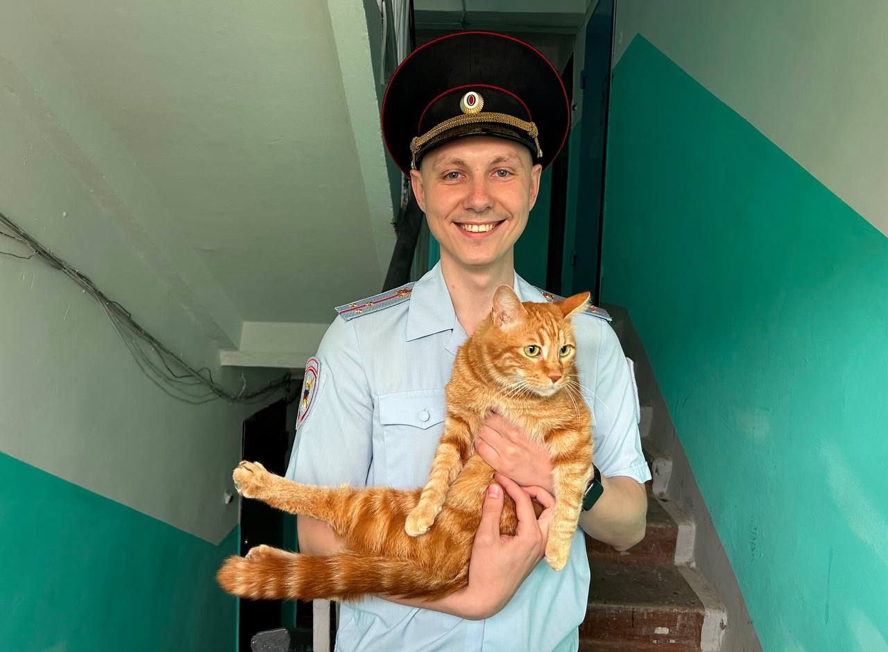  Участковый уполномоченный полиции помог спасти четвероногого любимца жительницы Хабаровского края Старший лейтенант полиции Павел Краснопёров из Комсомольска-на-Амуре во время выполнения служебных обязанностей при обходе административного участка обнаружил на асфальте рыжего кота, который, как позже выяснилось, сорвался с третьего этажа многоквартирного дома. Удар о землю ошеломил «усатого», и ему срочно требовалась помощь. Сотрудник полиции незамедлительно осмотрел животное на предмет повреждений и, убедившись, что с «пушистым комочком» всё в порядке, установил личность хозяйки кота, которая на момент происшествия находилась на работе. Девушка сразу же вернулась домой и поблагодарила стража порядка за спасение её питомца – кота по кличке Тиша. Позже в УМВД России по г. Комсомольску-на-Амуре она написала обращение на имя руководителя, где ещё раз выразила слова благодарности участковому уполномоченному полиции Павлу Краснопёрову, отметив его профессионализм и оперативность.