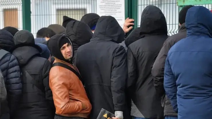 В Новосибирской области с 2026 года мигрантам запретят работать в шести сферах Среди запрещённых сфер грузоперевозки спорт социальные столовые розничная торговля алкоголем и табаком работа в такси и дошкольное образование Работодателям дадут два месяца после вступления документа в силу чтобы привести численность персонала в соответствие с новыми требованиями Фото Михаил Воскресенский РИА Новости   Подписаться на sibnovosti ru предложить новость