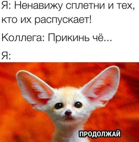 Сплетни могут быть полезны для психики, утверждают исследователи.    Во время таких разговоров в мозге активируются зоны, связанные с удовольствием, и выделяется дофамин. Это помогает снизить стресс и получить эмоциональную разрядку.    Однако важно знать меру — чрезмерное увлечение сплетнями, напротив, способно испортить настроение и даже привести к депрессии.    Так что… вы поняли, как действовать.