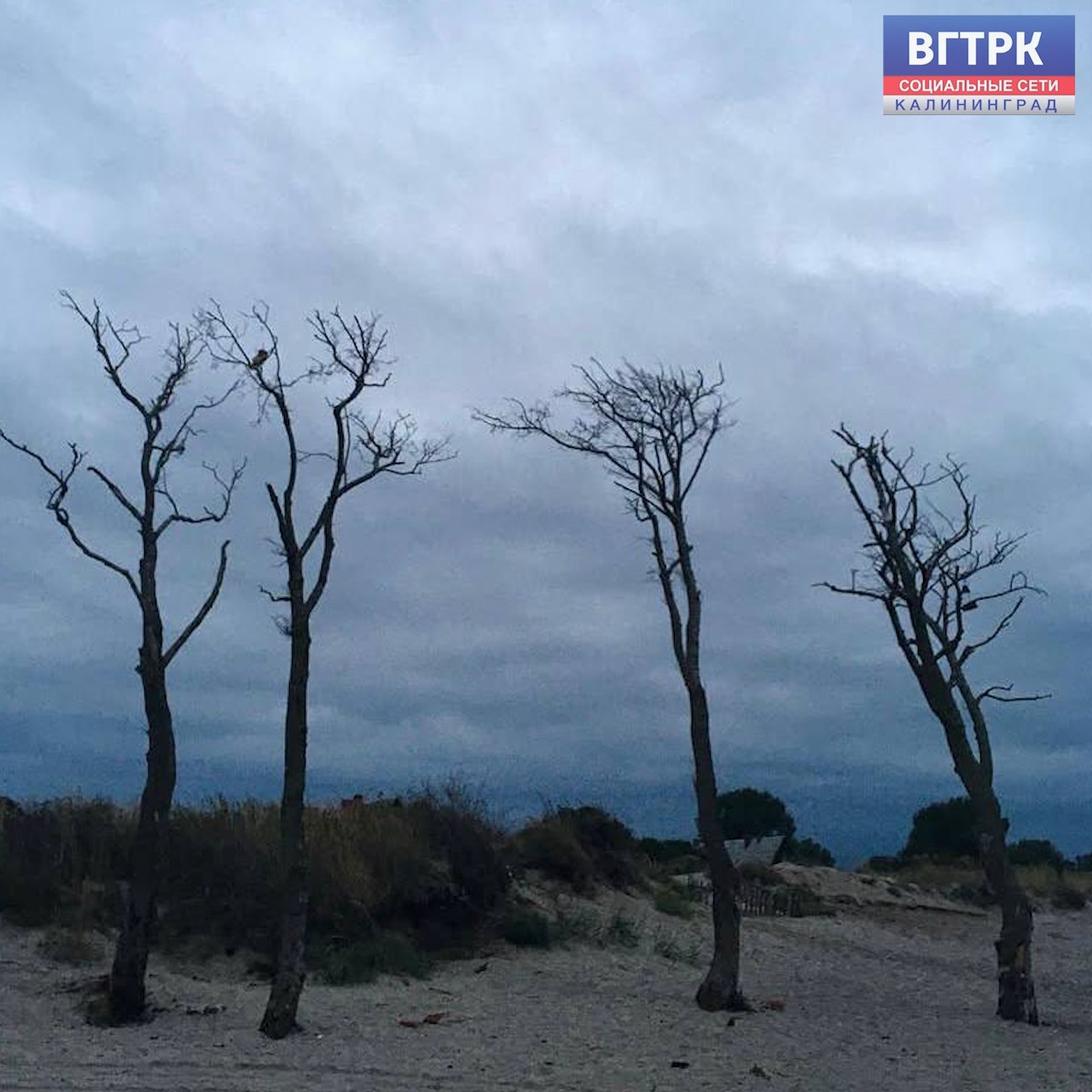 По сообщению «Погода и метеоявления Калининградской области» над Балтикой ожидается формирование волнового циклона, который может принести осадки после обеда и вечером, в виде кратковременных дождей. Утром и в первой половине дня - облачно с прояснениями и без существенных осадков, одеваемся теплее и берем с собой зонтики