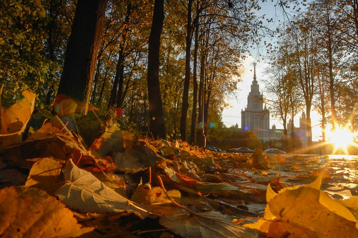 В Москве метеорологическое лето в Москве продлится в общей сложности 130 суток вместо обычных 99. Таким образом, закончится оно 22 сентября,  сообщил ведущий специалист центра погоды «Фобос» Евгений Тишковец.