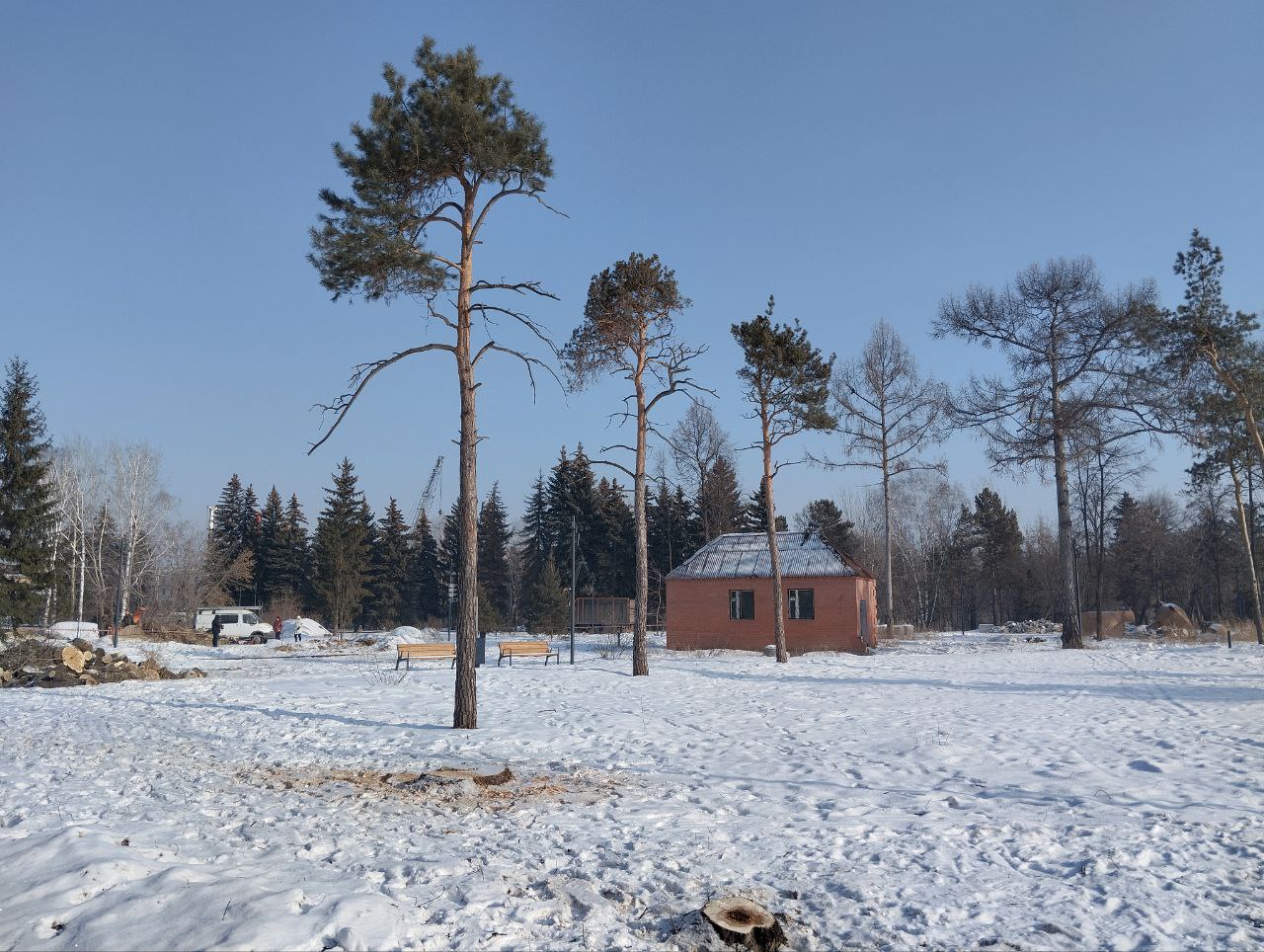 Деревья в Центральном парке требуют обновления  Эксперты СФУ провели инвентаризацию насаждений и пришли к выводу, что значительная часть деревьев находится в аварийном состоянии. Какие решения предлагают для парка, читайте на сайте gornovosti.ru