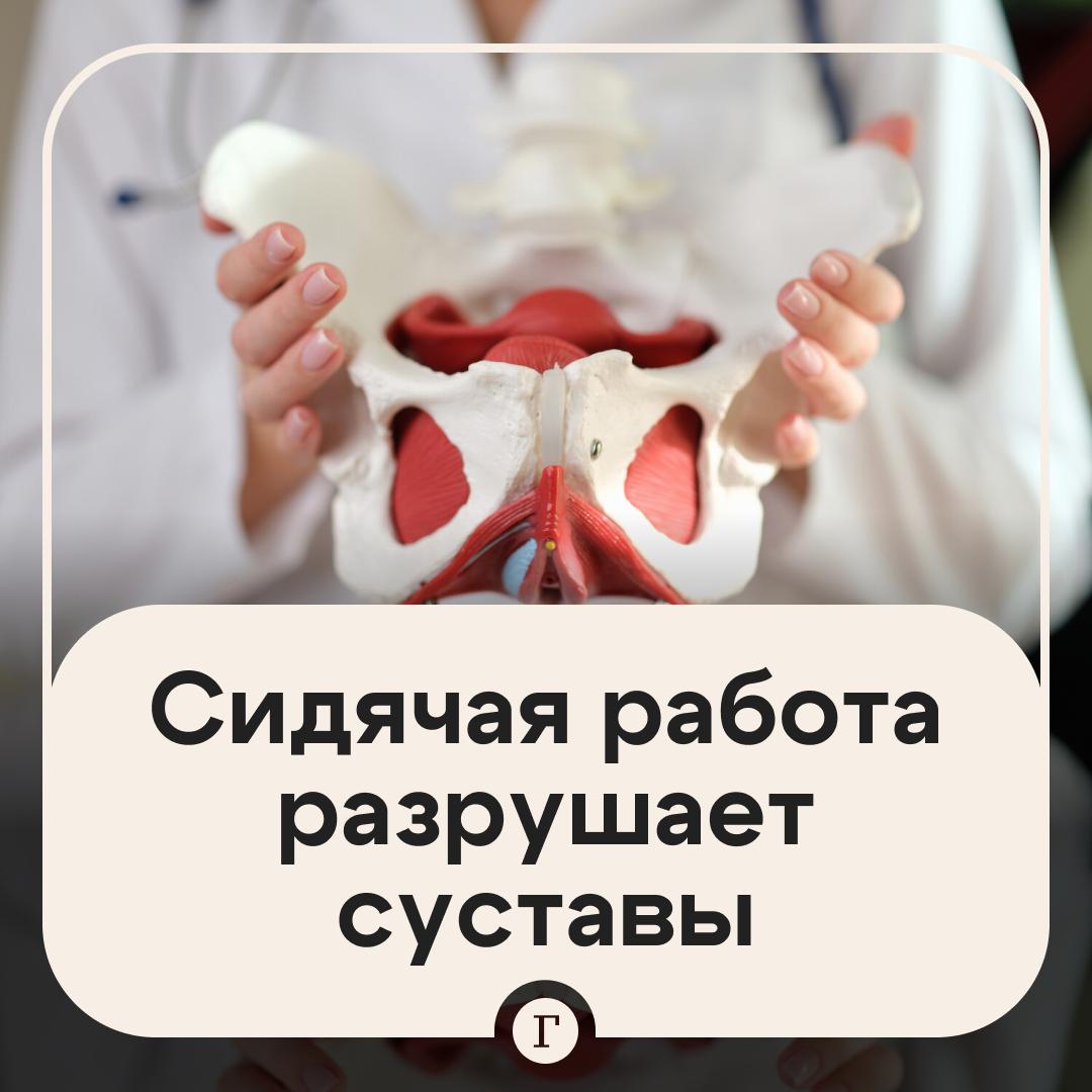 У офисных работников к 40 годам разрушается тазобедренный сустав Из за сидячего образа жизни мышцы таза постепенно атрофируются рассказал Газете Ru хирург Павел Семиченков А мышечная ткань выполняет роль насоса который заставляет циркулировать кровь внутри сустава обновляться внутрисуставную жидкость При выключении какой либо группы мышц сустав начинает разрушаться Именно поэтому не стоит забывать о регулярном выполнении физических упражнений отметил доктор Пойду разомнусь