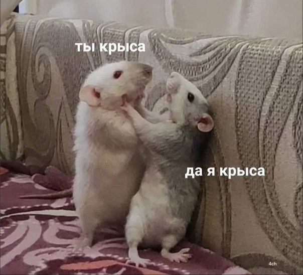 Учёные заявили: сплетничать — полезно  Обсуждать других не только интересно, но и полезно для психики. Во время таких разговоров в мозге активируются центры удовольствия и выбрасывается дофамин — улучшается настроение, снижается стресс и мозг расслабляется.  Так что, если завтра на работе снова потянет на сплетни — знайте, это не вредно, а почти терапия