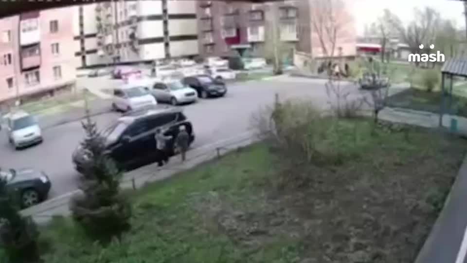 В Новокузнецке конь сбил семилетнюю девочку, владельцам грозит штраф