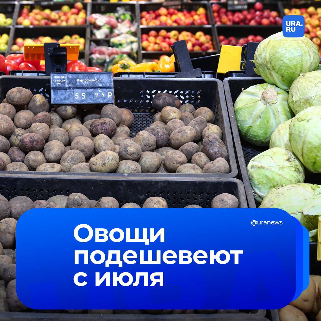 Цены на овощи начнут снижаться с июля, ожидает министр сельского хозяйства Оксана Лут. Ранее в Минсельхозе подчеркивали, что сейчас цены на овощи определяет импорт, поскольку прошлогодние запасы с урожая в стране практически закончились.