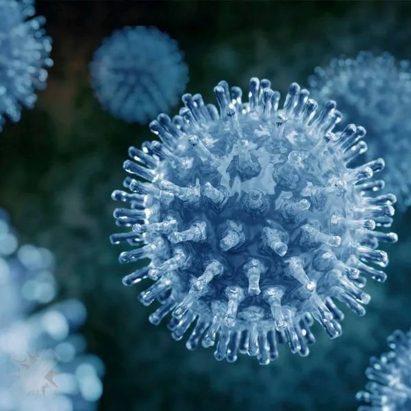 В Прокопьевском интернате 9 человек умерли от вируса гриппа А За последний месяц в психоневрологическом интернате Прокопьевска Кемеровской области скончались 9 человек двое из них после госпитализации Всего из медучреждения в больницы попали 46 человек с подозрением на заражение у всех отмечались высокая температура до 39 градусов слабость и головная боль НМШ