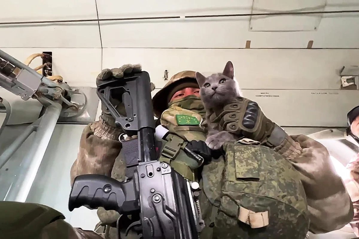 Депутат Заксобрания Челябинской области Ольга Мухометьярова предложила учредить День фронтового кота С инициативой она обратилась к сенатору Олегу Цепкину, подчеркнув, что кошки помогают бойцам — борются с грызунами и «поддерживают устойчивое психофункциональное состояние бойцов». Депутат указала, что новая дата могла бы стать аналогом уже существующего Дня фронтовой собаки, который ежегодно отмечается 19 августа. В ответ сенатор Цепкин напомнил, что в первую очередь необходимо обеспечить мерами поддержки участников и ветеранов СВО. Но пообещал, что предложение челябинского депутата «тоже будет рассматриваться». Фото: Ruptly