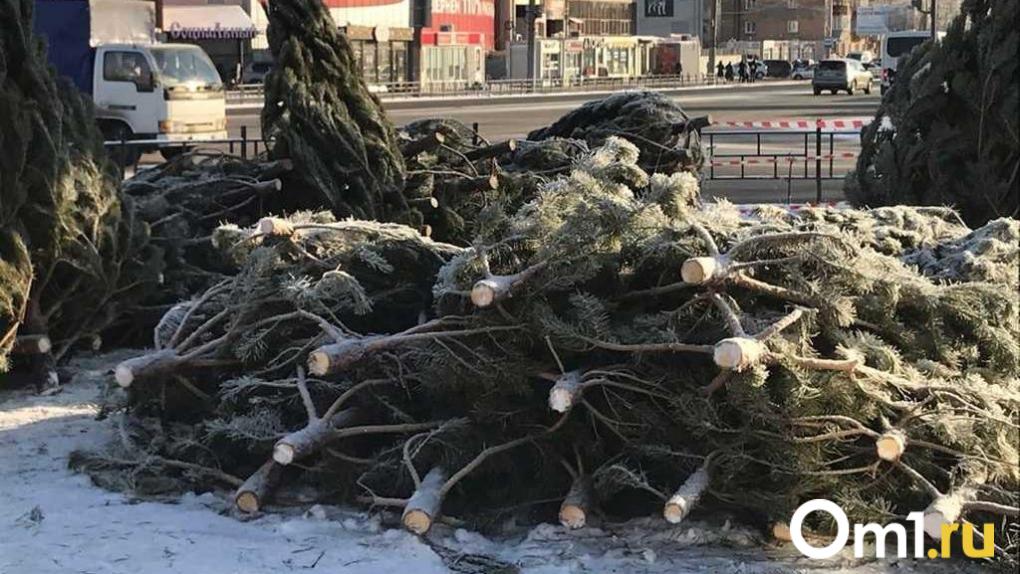 В Омске назвали адреса ёлочных базаров в Центральном округе Всего будет четыре точки продаж которые откроются в декабре ул 10 лет Октября 109 ул 10 лет Октября 175 ул Красный Путь 26а ул Маяковского 50а Ёлочные базары традиционно открываются в каждом округе города и в прошлом году было организовано около 40 таких точек для продажи новогодних деревьев Om1 Омск в MAX