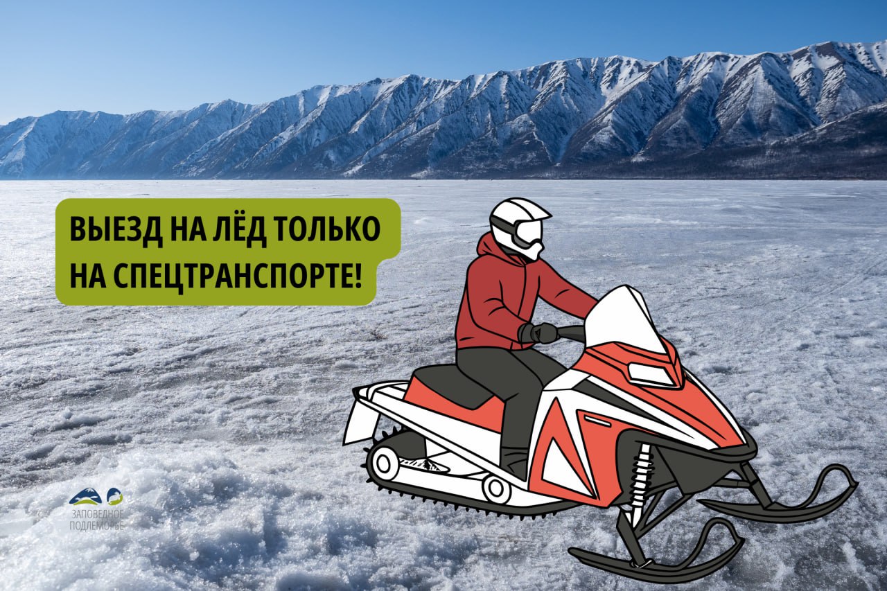 С 1 февраля на Байкале официально разрешается любительский лов омуля и сига Основные правила публикует Заповедное Подлеморье Там отмечают что выезд на лёд на автомобилях по прежнему строго запрещен потому что официальные ледовые переправы в Чивыркуйском заливе пока не открыты Толщина льда остаётся небезопасной для движения автотранспорта Контроль за соблюдением правил ведут сотрудники Заповедного Подлеморья государственной инспекции по маломерным судам МЧС России и полиции Можно выезжать на лед на аэролодках снегоходах мотобуксировщиках и самоходных машинах на шинах низкого давления На них также передвижение на них возможно только при наличии специального разрешения и строго по утверждённым маршрутам Схемы движения для снегоходов и мотобуксировщиков для других транспортных средств А также в следующих двух постах Про аэроглиссеры И про снегоходы Новости Бурятии и Байкала