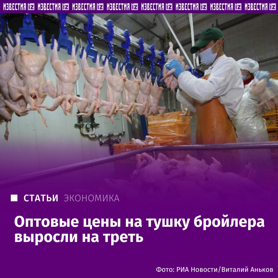 Тушка цыпленка бройлера подорожала в опте на 34 Стоимость тушки бройлера в опте за неделю с 15 по 21 сентября достигла 190 рублей за килограмм следует из данных Национального союза птицеводов НСП с которыми ознакомились Известия Рост цен производители связывают с повышенным спросом и ограниченным предложением При этом подорожали не только тушки но и разделка куриное филе стоит в среднем 320 рублей за килограмм 10 год к году окорочок 162 рубля 12 крыло 180 рублей 5 Значительная часть тушки бройлера продается в опте ее покупают для дальнейшей разделки или переработки на мясокомбинатах обращает внимание президент Agrifood Strategies Альберт Давлеев Фарш из курицы используют как альтернативу свинине для производства колбасных изделий указывает он По его словам мясо птицы сейчас компенсирует рост цены на свиные полутуши и окорок наблюдаемый с конца июля Подробнее читайте в эксклюзивном материале Известий Больше новостей тут МАХ Отправить новость