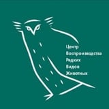 Аватар Телеграм канала: Центр Воспроизводства редких видов животных