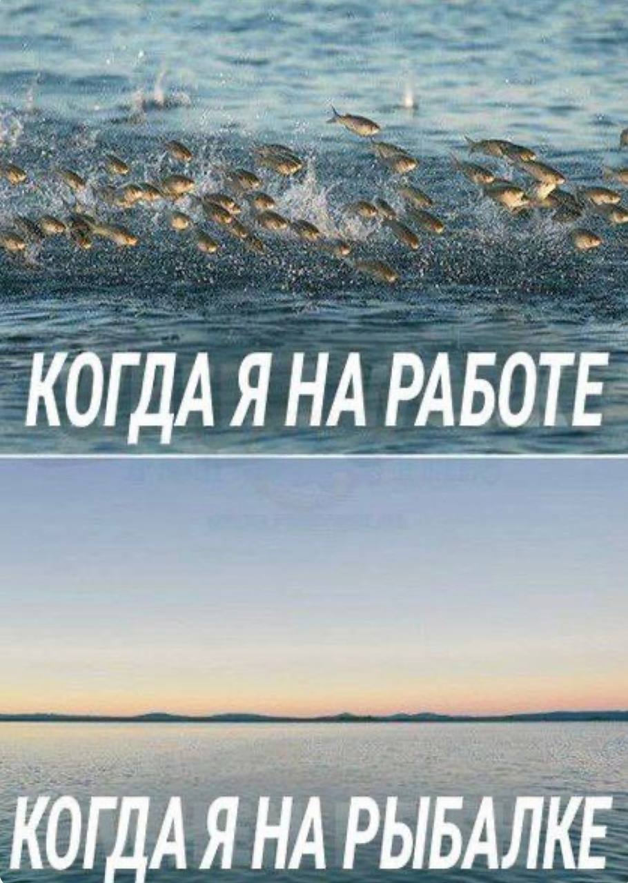 Рыбный улов на Кубани вырос на 9,7% в 2025 году  В Азово-Черноморском бассейне добыли 9,8 тыс. тонн рыбы с начала 2025 года  плюс  9,7% к уровню 2024 года . Хамсы — 8,9 тыс. т  на 0,8 тыс. т больше 2024 года .  А вы любите рыбалку?    — обожаю   — никогда не был   — люблю есть рыбу     Новости тут   Прислать фото/видео