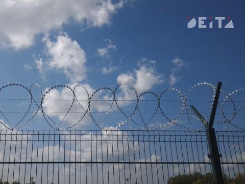 Силовики «обложили» бывшего приморского депутата: первый приговор вынесен по делу Назарца  Крупная контрабанда леса, по мнению силовиков, велась под покровительством экс-депутата Дмитрия Назарца, сообщает ИА DEITA.RU.  В Объединенной пресс-службе судебной системы Приморья сообщили о вынесении первого приговора по делу о контрабанде леса. Общий ущерб оценивают на сумму свыше 636,8 млн рублей.  Так, с 2016 по 2019 год трое преступников организовали контрабанду пиломатериалов из ильма сродного, липы амурской, липы маньчжурской, березы белой, березы желтой, осины и так далее.  Один из подельников получил срок. Ему назначили 8 лет лишения свободы в исправительной колонии строгого режима, со штрафом в полмиллиона. С осужденного намерены взыскать дополнительно 636 миллионов убытков.  При этом краевая прокуратура считает, что главой группы преступников был Дмитрий Назарец - экс-депутат ЗСПК. Уголовное дело в его отношении выделено в отдельное производство.  В настоящий момент известно, что Назарец сбежал в Америку от уголовного преследования. При этом он фактически остается главой ООО «Приморский экспорт» и ООО «Артэкспорт».