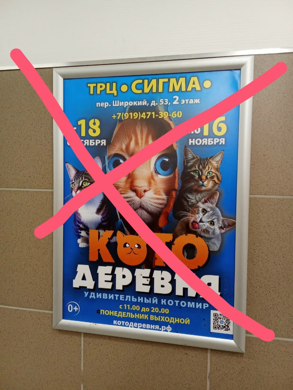Мучают котиков В Ижевске снова появился контактный зоопарк под названием Котодеревня в ТРЦ Сигма сообщили в группе ВК Альянс защитников животных Ижевск По информации в посте зоозащитников в этом месте кошек разрешают гладить и кормить всем желающим включая маленьких детей Возрастных ограничений для посетителей не установлено По сообщениям очевидцев животные проводят весь день в помещении где через них ежедневно проходят десятки людей Подписчики зоозащитных сообществ утверждают что животных перевозят из города в город и возможно успокаивают препаратами чтобы те меньше реагировали на стресс Волонтеры выражают обеспокоенность условиями содержания питомцев постоянный шум толпы посетителей и отсутствие возможности уединиться создают для кошек сильнейший стресс Зоозащитники призывают неравнодушных ижевчан направить обращения в надзорные органы с просьбой проверить законность работы контактного зоопарка и условия содержания животных Фото vk com azj izhevsk izhlife ru Ижевск Удмуртия