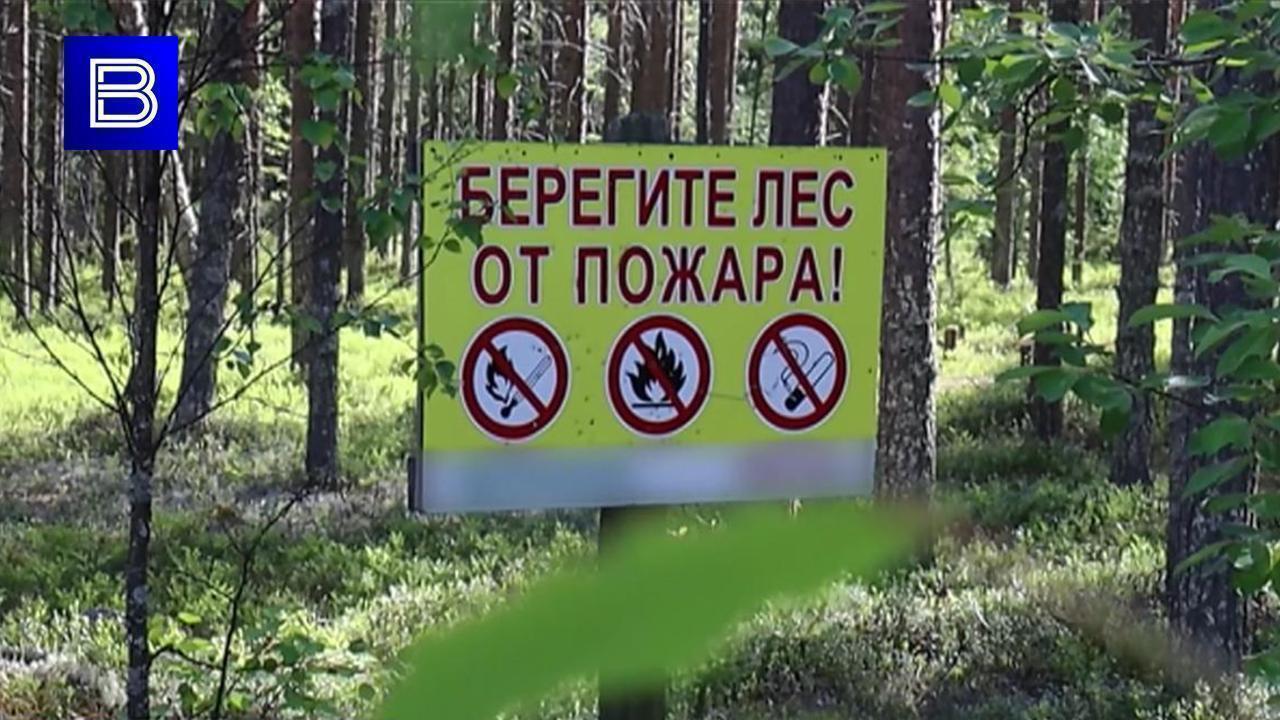 Вести Мурман 64 пожара потушили в Мурманской области с начала сезона  Только за эти выходные ликвидировано три возгорания общей площадью свыше 310 га. Пожары возникают как из-за действий человека, так и из-за сухих гроз. В настоящее время все возгорания на территории региона потушены.    Подпишись — Вести Мурман @