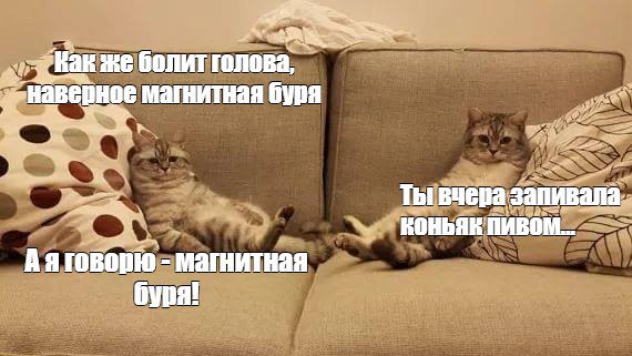 Провожаем 2025 год с больной головой Магнитные бури нагрянут прямо к праздничному застолью Уже в 15 00 31 декабря ожидаются волнения в 4 балла в к вечеру бури достигнут своего пика 5 баллов Но не унываем Уже в новогоднюю ночь и вплоть до 3 января геомагнитная обстановка будет почти спокойная всего 3 балла из 8 возможных Постарайтесь отдохнуть и прогуляться завтра   Подпишись на truekpru63 Мы в MAX