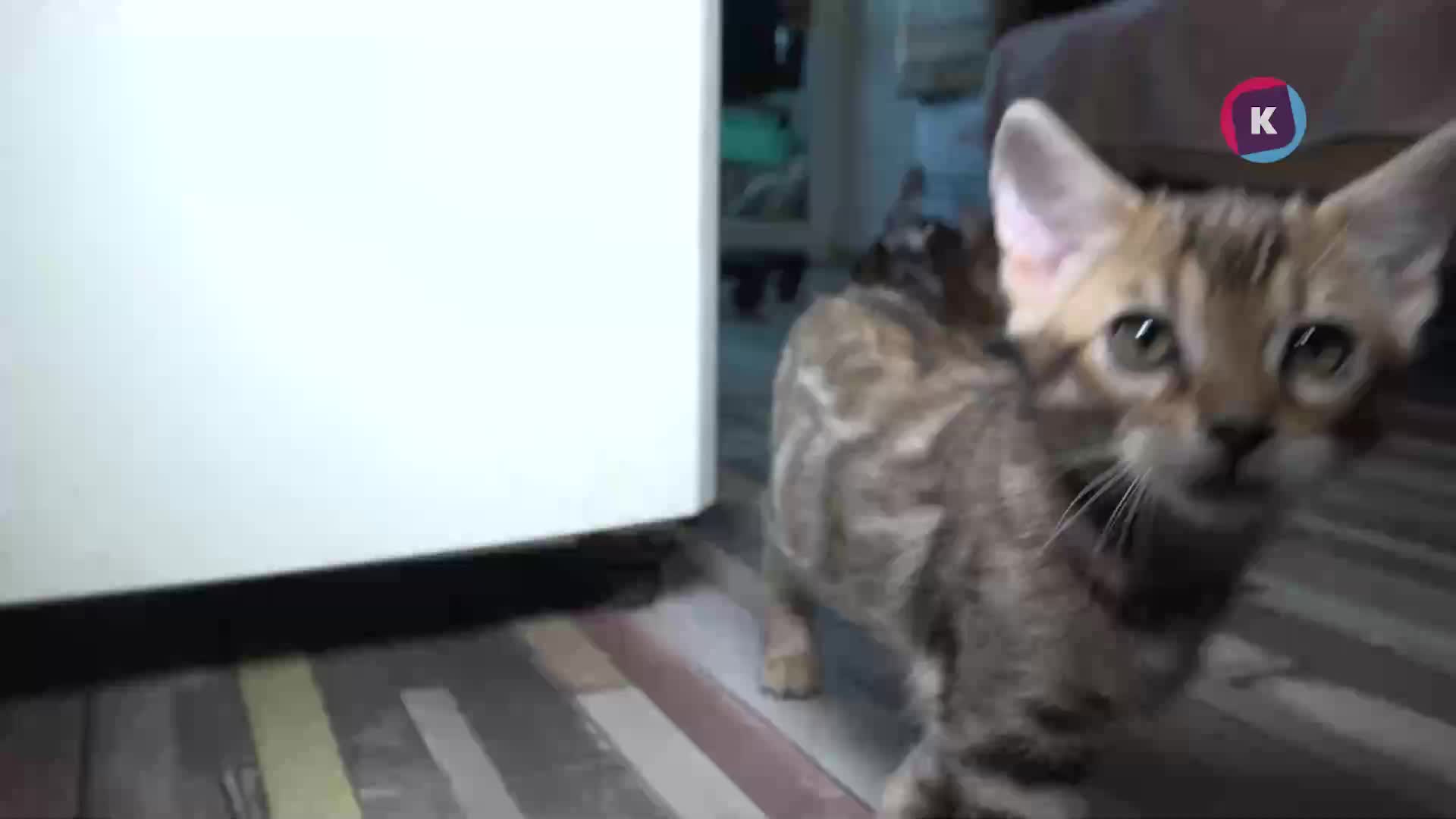 Жители Калуги остались без газа и горячей воды на неделю из-за утечки