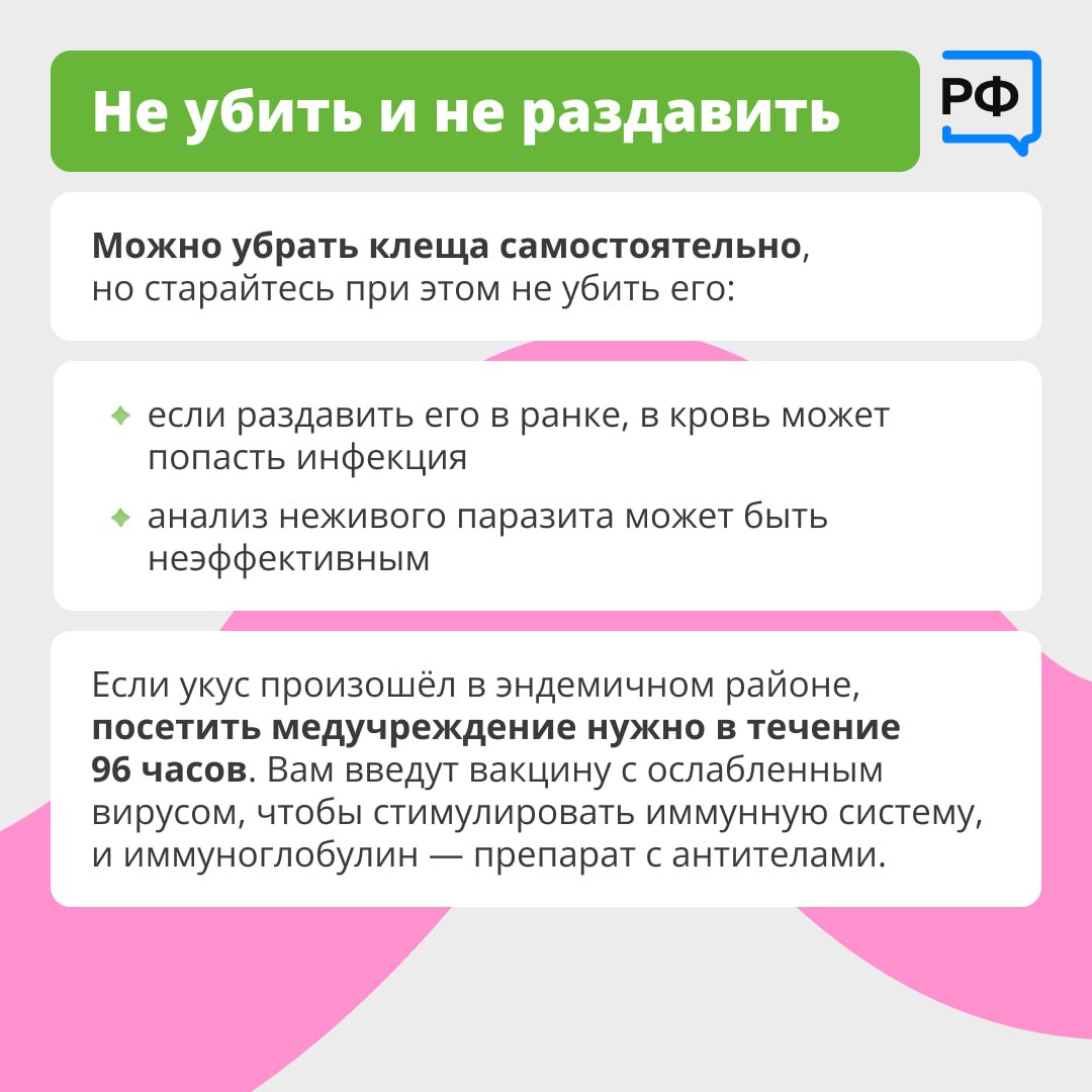 Вместе с клещом можно подцепить опасные болезни. Например, боррелиоз — он затрагивает кожу, сердце и другие органы. А клещевой энцефалит поражает центральную нервную систему и может привести к смерти.    Если вы обнаружили клеща на себе, действовать нужно по правилам. Подробнее о них — в карточках.   #объясняемрф #здоровье