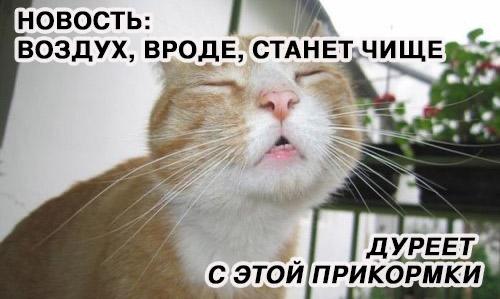 В Армении модернизируют станции мониторинга воздуха В Армении модернизируют три станции мониторинга воздуха с использованием японского оборудованиея по гранту правительства Японии. Это позволит в реальном времени измерять уровень загрязнений, быстро выявлять опасные ситуации, оценивать источники выбросов и планировать меры по улучшению качества воздуха.