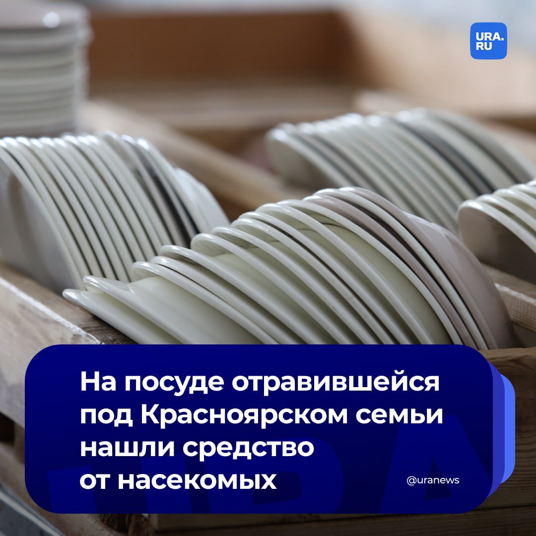 Следы инсектицидного средства найдены на посуде в доме семьи, которая отравилась в Красноярском крае. Об этом сообщил СК по региону. Согласно результатам экспертиз, на поверхности посуды обнаружены компоненты инсектицидного средства.   Это подтверждает версию следствия о том, что причиной трагедии стало попадание токсичных компонентов в организм детей. Следствие рассматривает инцидент как приоритетное дело, уточнив, что результаты экспертиз материалов, веществ и изделий уже получены. Эти данные помогут установить точную причину происшествия и обстоятельства, при которых произошло отравление.