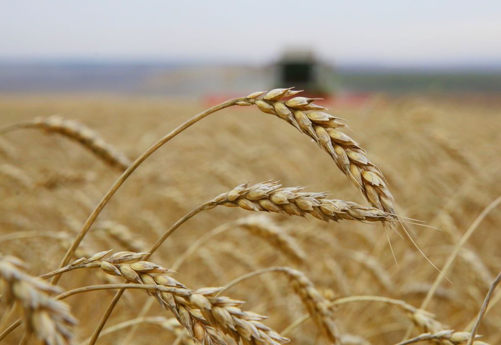 Иркутская область досрочно выполнила целевой показатель объема экспорта продукции АПК на 2025 год Целевой показатель установлен для региона в рамках федерального проекта «Экспорт продукции агропромышленного комплекса» национального проекта «Международная кооперация и экспорт». В соответствии с паспортом регионального проекта на 2025 год целевой показатель по объему экспорта для региона составляет 49,3 млн долларов. Итоги семи месяцев показывают выполнение плана на 100,6%. Предприятия региона уже экспортировали продукцию на сумму 49,6 млн долларов. При этом значительный прирост в 3,7 раза зафиксирован в сегменте прочей продукции АПК, где первое место занимают масличные культуры. «Приангарье является активным участником реализации нацпроекта «Международная кооперация и экспорт». В последние годы регион показывает положительную динамику экспортных поставок всех основных категорий товаров агропромышленной продукции. Это дает нам уверенность в том, что задачи нашего Президента Владимира Владимировича Путина по увеличению экспорта продукции АПК к 2030 году в полтора раза будут выполнены», - подчеркнул Губернатор Иркутской области Игорь Кобзев.
