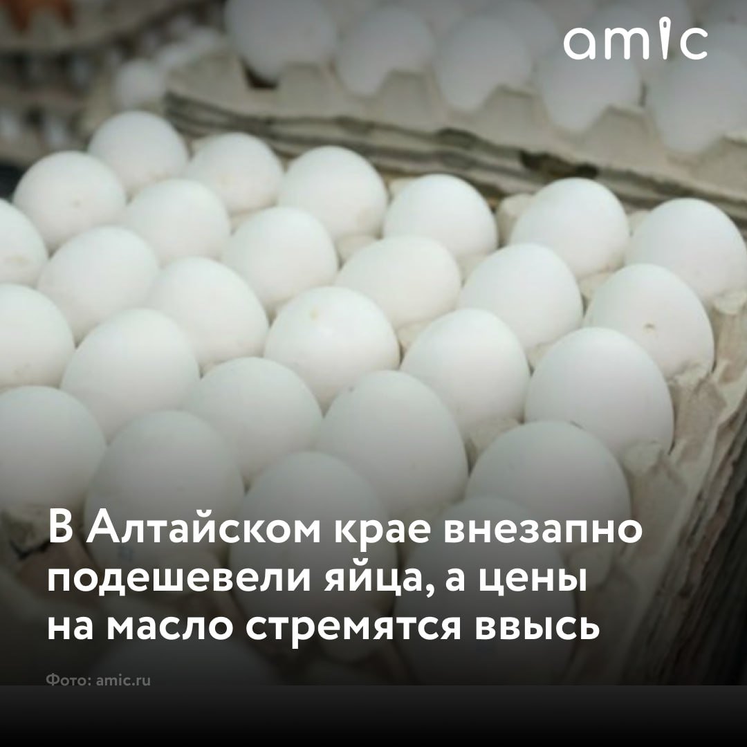 Яйца подешевели впервые за полтора года в Алтайском крае, а масло сильно подорожало   В октябре 2024 года масло подорожало на 27,62% в сравнении с октябрем прошлого года. А яйца в этом месяце подешевели на 3,98%, говорится в данных регионального отделения Банка России об инфляции в октябре этом года.  В целом за год продовольственные товары подорожали на 8,68%, а непродовольственные – на 5,91%.  "Больше всего подорожали медицинские товары – на 9,37%, мебель – на 8,06%, стройматериалы – на 7,44%, табачные изделия – на 7,31%, трикотаж – на 7,15%", – следует из данных алтайского отделения ЦБ.  Что еще подорожало с начала 2024 года, вы можете прочитать в нашем материале на amic.ru.