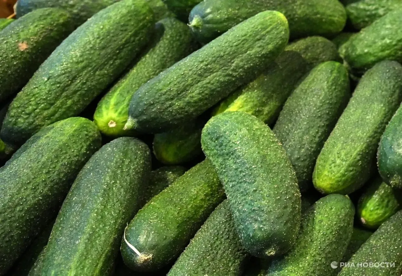 Огурцы в апреле подешевели сильнее всех остальных продуктов их цена снизилась на 15 за месяц до 193 7 руб за килограмм рассказали РИА Новости в Руспродсоюзе Также лидерами по удешевлению стали помидоры и бананы они стали дешевле на 3 2 и 2 4 соответственно Подписаться на РИА Новости экономика