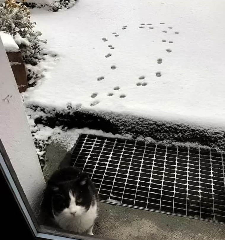 Только за сегодняшний день с улиц Казани вывезли 385 тонн снега Такое вот начало зимы entermedia io news tsifra dnya skolko tonn snega vyvezli s ulits kazani