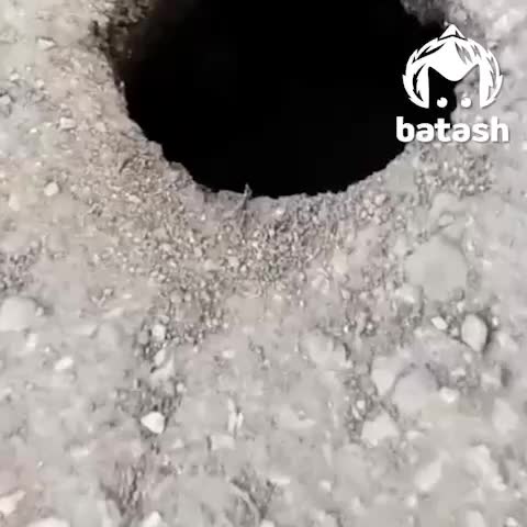Проблемы с ямами на дорогах: аварийные участки в Петрозаводске и Хабаровске