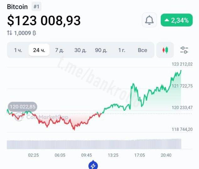 Биткоин поднялся выше $123 000, до нового исторического максимума не хватило $100.
