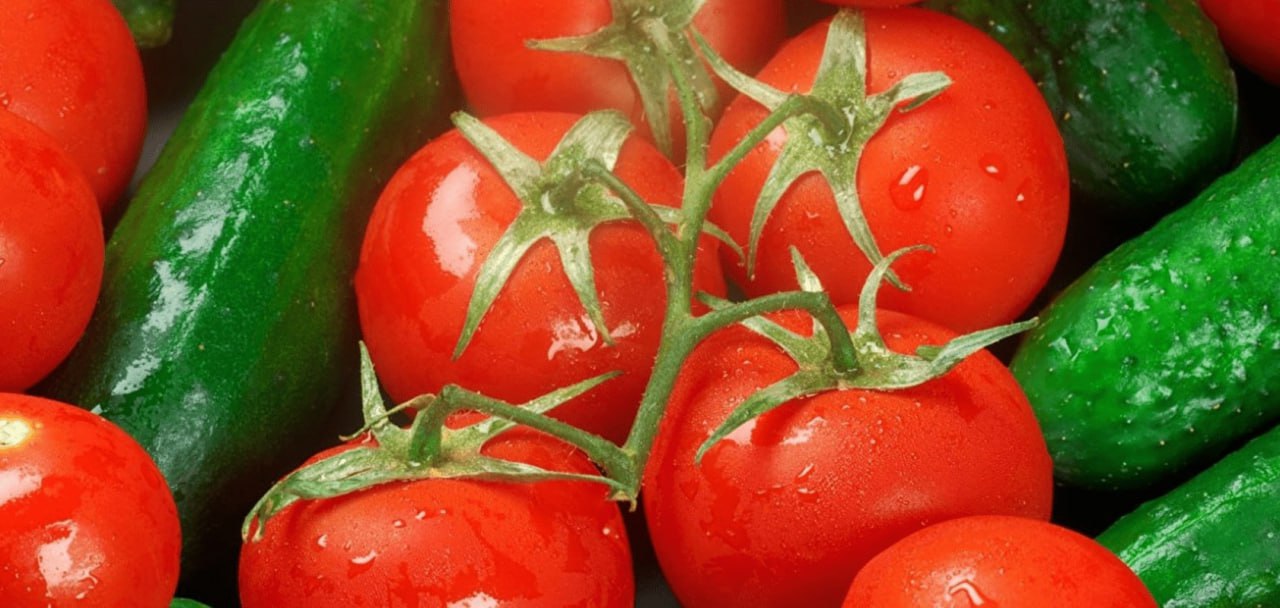 Минсельхоз заявил о стабильной ситуации на рынке овощей По данным министерства цены производителей на ряд позиций в январе 2026 года ниже чем годом ранее На томаты снизились 21 6 в годовом выражении На огурцы на 9 9 Стоимость овощей в рознице также ниже год к году Вместе с тем в ФАС сообщили что служба изучит ценовую ситуацию на рынках овощей защищенного грунта Информацию запросили у компаний входящих в группы РОСТ ЭКО культура Горкунов Магнит Теплицы Регионов и Мое лето Подробнее Подписывайтесь на нас в Telegram в MAX Оставляйте бусты