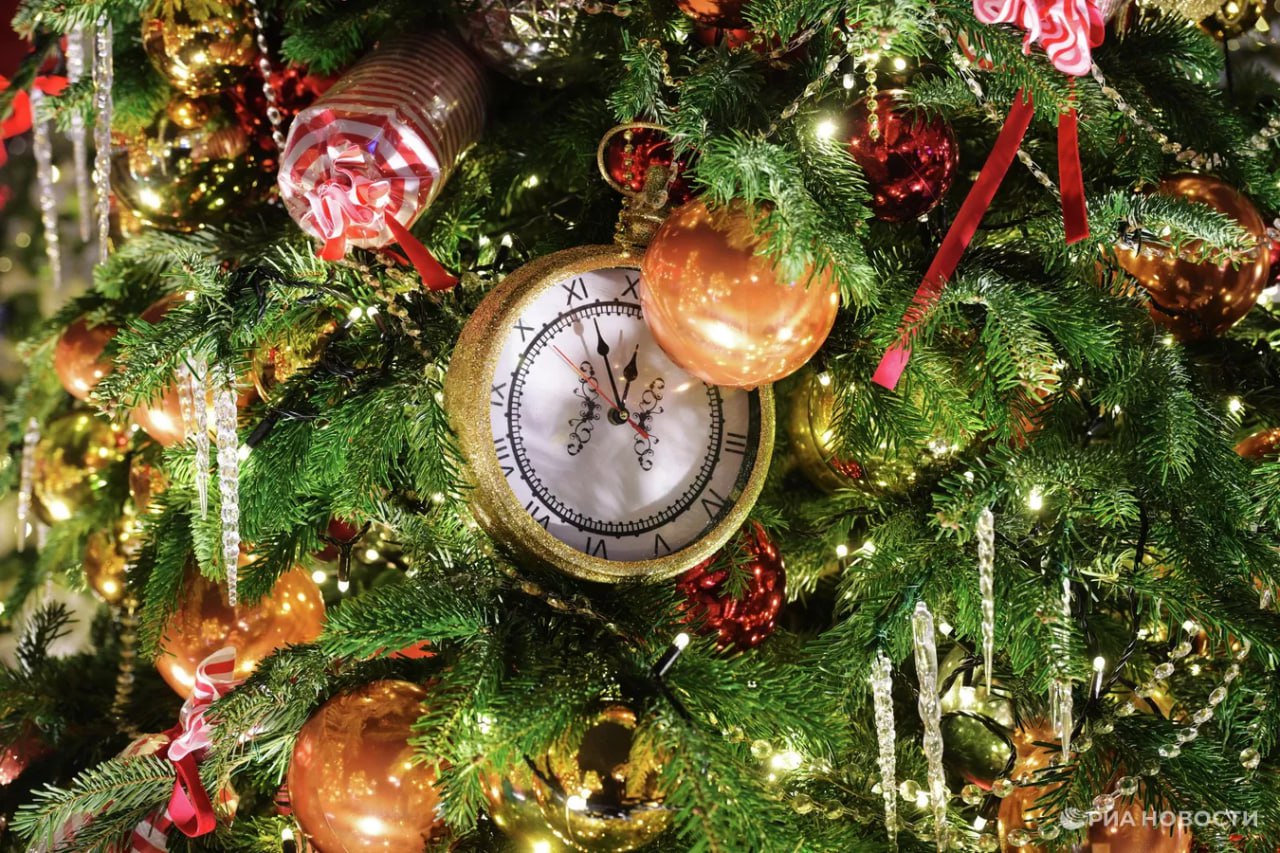 Россияне в этом году реже покупали живые елки Так число их продаж в нынешнем праздничном сезоне оказалось на 12 ниже чем в прошлом подсчитали для РИА Новости эксперты Чек Индекс Медианная цена живых елей составила 3213 рублей а медианная стоимость искусственной ели 4340 рублей Подписаться на РИА Новости экономика Все наши каналы