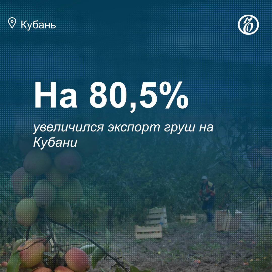 В Краснодарском крае с 1 января по 1 мая 2025 года экспортировали 109 т груш, это на 80,5% больше, чем в 2024 году. Товар отправили в Армению, сообщили «Ъ-Кубань» в пресс-службе Южного межрегионального управления Россельхознадзора.  С начала года из региона экспортировали 505 т яблок — на 64% больше, чем в 2024 году. Товар отправили в Беларусь и Армению. Экспорт винограда в те же страны составил 30,9 т  +57,5% .   #ЪУзнал
