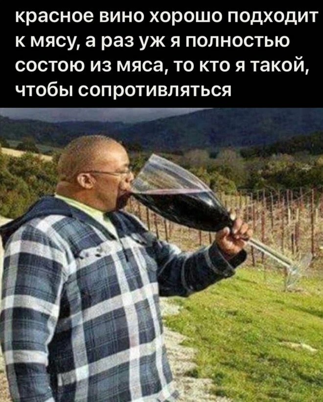 Промышленное производство мордовского вина могут начать в 2028 году Через три года в Мордовии собираются приступить к промышленному выпуску молодого вина из выращенного в республике винограда. Об это рассказал глава Мордовии Артем Здунов РИА Новости в интервью на ПМЭФ. По его словам, основную высадку виноградников произвели в этом году: «Край Земли» высадил 17,5 тысячи виноградных лоз на 10 гектарах земли. Сорта подбирали специально под Мордовию, пригласив из соседних регионов агрономов, специализирующихся на выращивании винограда. Первый урожай будет к 2028 году. «Виноград — это наше новое направление. Это, наверное, самый северный виноград в Российской Федерации, который выращивается в промышленных целях. Высадили первые пробные партии в 2021 году, в этом году уже попробуем делать молодое вино. Это будет пробная партия», — заявил глава региона. Напомним, весной Мордовию официально включили в виноградо-винодельческие зоны страны.