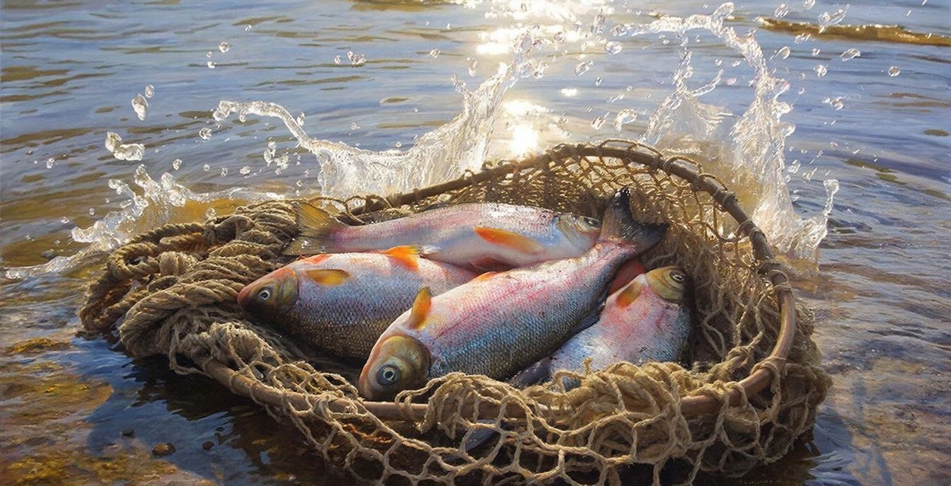 Дорогой улов браконьер с Камчатки заплатит 558 тысяч рублей за сеть с лососем В Усть Большерецком районе осудили жителя Петропавловска за незаконную добычу красной рыбы Мужчина добыл 71 экземпляр лосося и попался пограничникам Нажмите для подробностей   kam24 ru news main 20260218 125591 html utm source telegram utm medium messenger