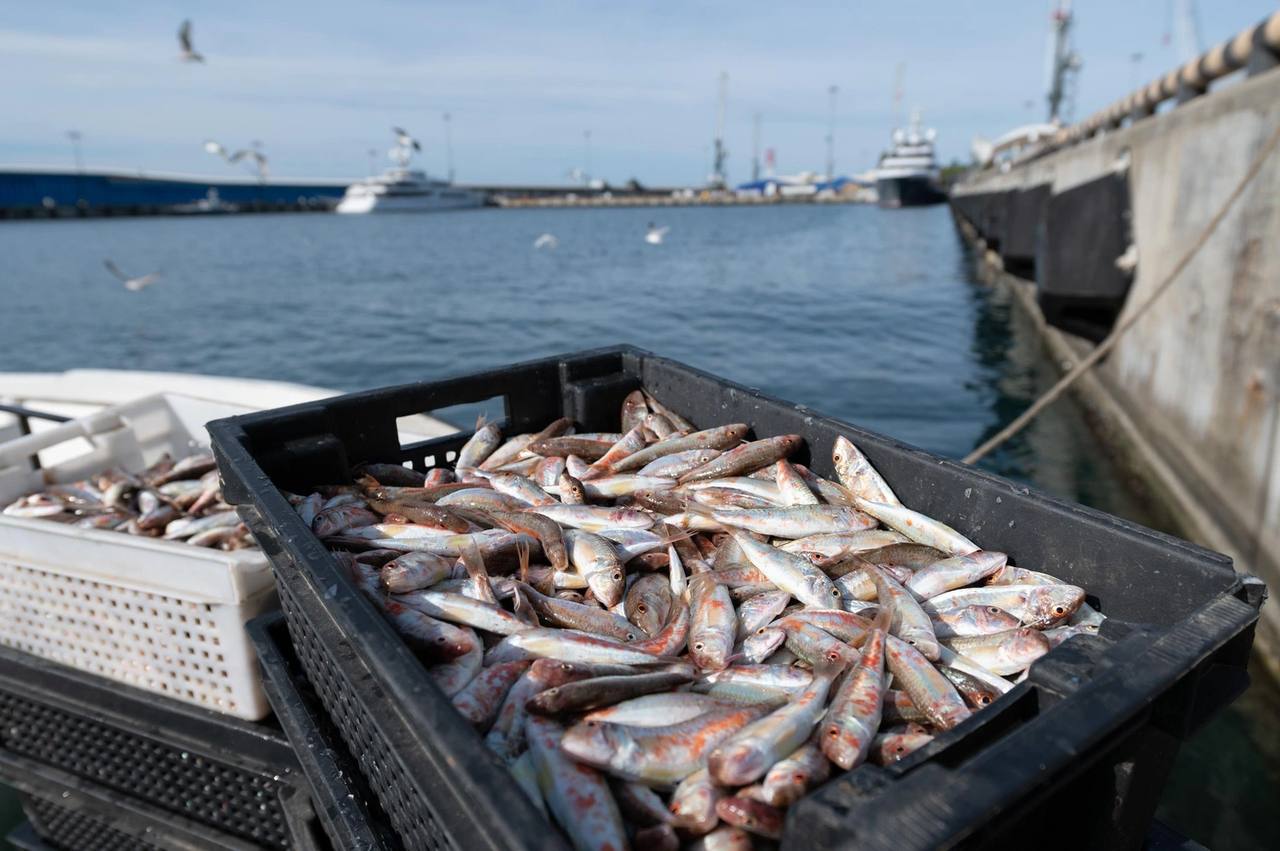 В Госдуме предложили ограничить вылов рыбы и морепродуктов в Азовском и Черном морях.  С такой просьбой к Минсельхозу и Минприроды обратился вице-спикер парламента Борис Чернышов. Надо сказать, очень вовремя – опустим тот факт, что разлив мазута происходит уже почти месяц.  Депутат также предложил исключить возможность реализации рыбной продукции из Азово-Черноморского бассейна:  Морепродукты, рыба, моллюски способны накапливать в своих организмах токсичные вещества, что делает опасным употребление их в пищу, если воды их обитания были загрязнены. Особенно уязвимы двустворчатые моллюски, которые сохраняют загрязняющие элементы на протяжении всей своей жизни. Учитывая эти факты, необходимо принять меры для предотвращения распространения продукции, которая может представлять угрозу для здоровья людей.