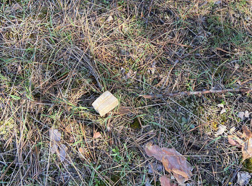 В конце октября в охотугодьях Шолоховского района разложено 25 594 дозы вакцинных приманок против бешенства для диких плотоядных животных