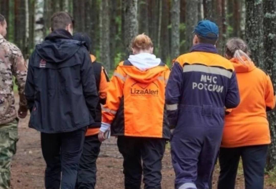 ЛизаАлерт расширяет деятельность новые отряды в Хабаровске и на Камчатке Добровольческий поисково спасательный отряд ЛизаАлерт планирует открыть свои подразделения в Хабаровске и на Камчатке Это решение обусловлено необходимостью усиления поисковых операций в труднодоступных регионах Дальнего Востока Как отметила федеральный инструктор школы ЛизаАлерт Нина Маньковская работа на Дальнем Востоке сопряжена с большими трудностями обширные территории меньшее количество населения и как следствие добровольцев сложный рельеф местности горы вода леса и ограниченные ресурсы Создание новых отрядов позволит более эффективно реагировать на поиски пропавших людей в этих сложных условиях Кстати Хабаровск