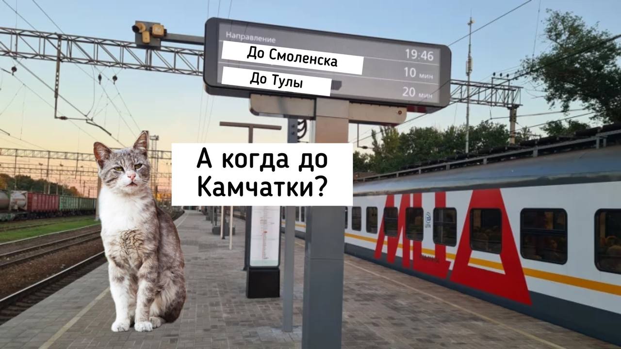 МЦД продлят до Ярославля Тулы Иванова Твери и Смоленска власти Предполагается что из соседних регионов можно будет ездить в Москву на работу и возвращаться Проект планируется реализовать в ближайшие годы Подписаться Прислать новость
