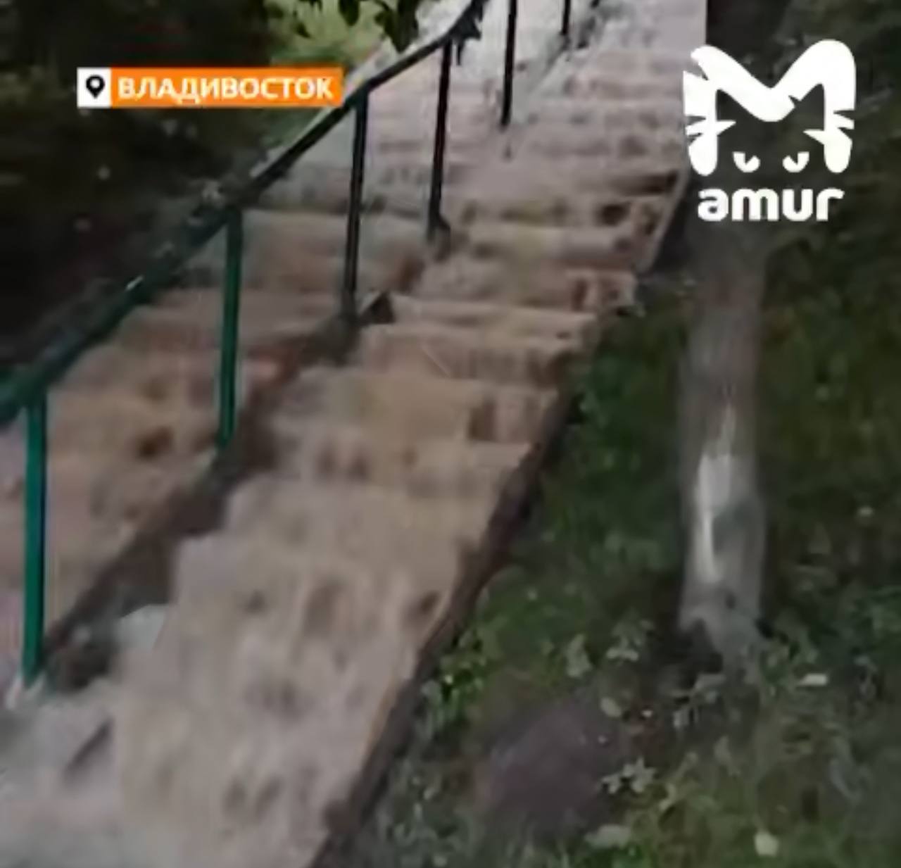 Прокуратура организовала проверку по факту порыва сети водоснабжения во Владивостоке    В ходе мониторинга средств массовой информации установлено, что утром 3 июля 2025 года в районе многоквартирных домов на ул. Полины Осипенко и Часовитина г. Владивостока произошел порыв сети водоснабжения.   В результате без холодного водоснабжения остались 900 жителей.    Ведомство контролирует проведение ремонтных работ и ликвидацию последствий порыва ресурсонабжающей организацией.  Прокуратура проверит, как соблюдаются требования законодательства при содержании и обслуживании систем холодного водоснабжения, а также оценит, насколько оперативно устраняется авария и проводится расследование её причин.
