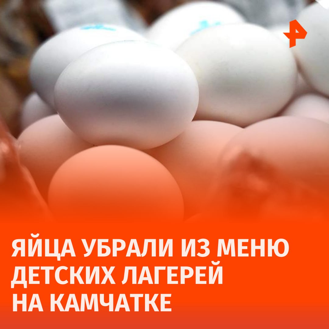 Блюда из яиц убрали из меню детских лагерей, которые открылись на Камчатке на время школьных каникул. Об этом сообщила министр образования Камчатки Александра Короткова.  Большая часть загородных лагерей также не закупала яйца на смену, уточнила она в прямом эфире Радио Камчатка.       Отправить новость