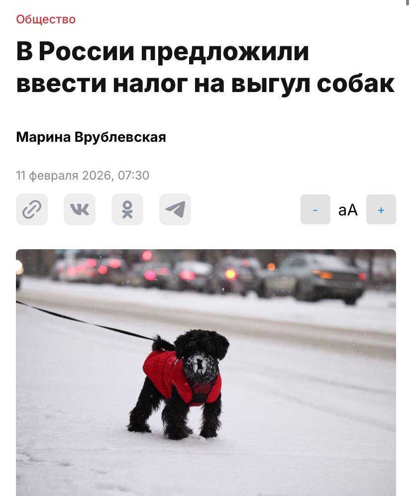 Налог на выгул собак хотят ввести в России общественники предлагают собирать с собачников деньги а потом на них обустраивать отдельные площадки для выгула Налог должен быть прогрессивным чем крупнее и опаснее пес тем больше платит хозяин Бонусом предлагают освободить от платы пенсионеров и многодетных Собачники затягиваем пояса потуже