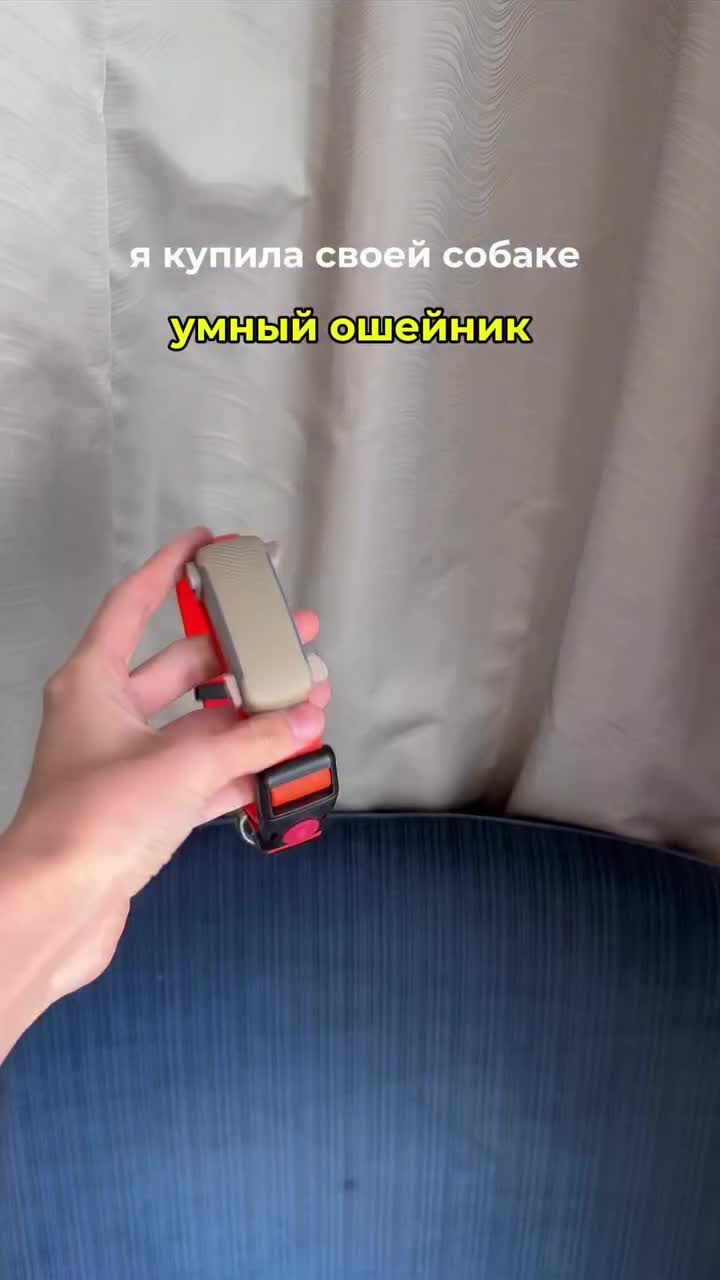 Tractive запускает умный ошейник для мониторинга здоровья домашних животных