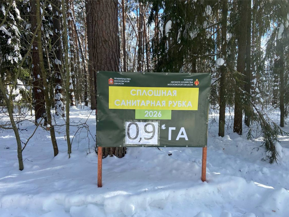 В городских округах Серпухов и Ступино лесничество Русский лес ограничивает проход и проезд в лес Ограничения связаны с запланированными санитарно оздоровительными мероприятиями Санитарные рубки на лесных участках вблизи сел Игумново и Хатунь пройдут в рамках региональной программы Здоровый и чистый лес и направлены на оздоровление лесов Подмосковья Рубки назначены по результатам проведенного лесопатологического обследования в ходе которого определялась степень утраты биологической устойчивости участка леса из за повреждения вредителями и болезнями Рубки проводятся для обеспечения улучшения санитарного состояния лесов и пожарной безопасности путём ликвидации очагов массового размножения стволовых вредителей и опасных инфекционных заболеваний В целях безопасности просим граждан с пониманием отнестись к ограничениям прохода и проезда в лес на время проведения работ сказал начальник отдела лесного хозяйства филиала Русский лес ГАУ МО Мособллес Григорий Шалимов